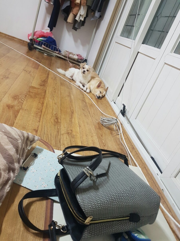 한 여름에 왜그래