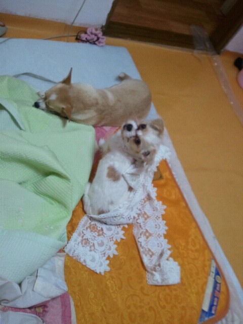 2015년 3월 2일 오후 12시 52분에 저장한 글입니다.