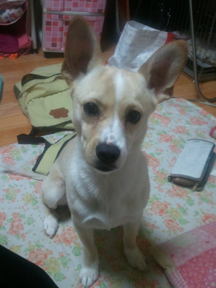 로또 6년전은 오랜만~ 2011.04