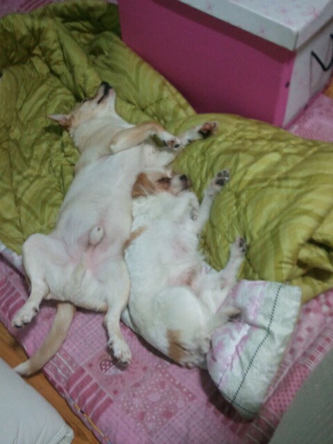 예민하더니만ㅎ