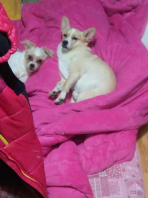 요염초롱한 그대들 내눈에 꽁깍지