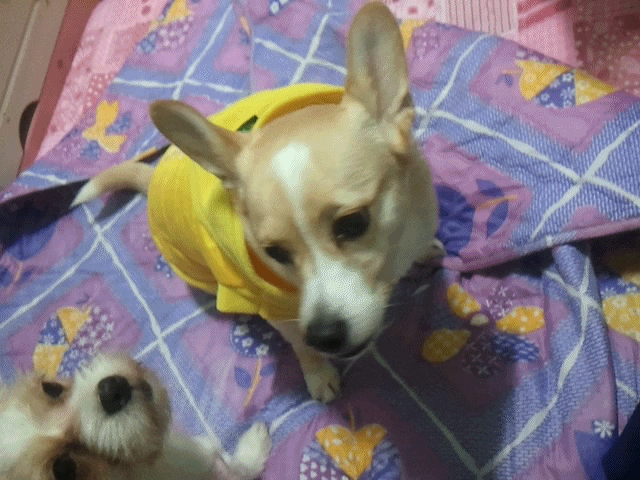 이제는 옷을 입을 계절 