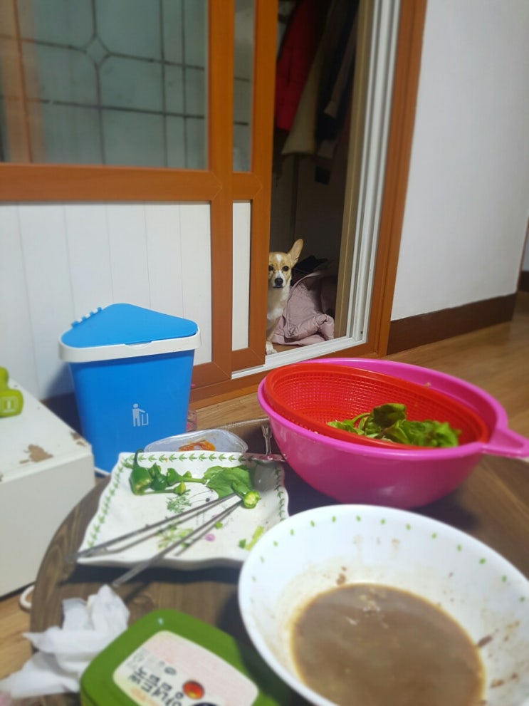 밥상을 대하는 로또 토토의 자세