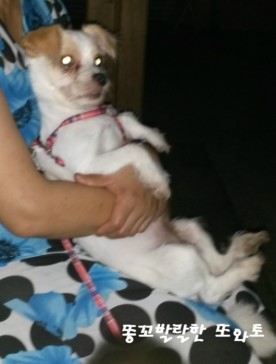 얼마전 학교 방문겸 산책