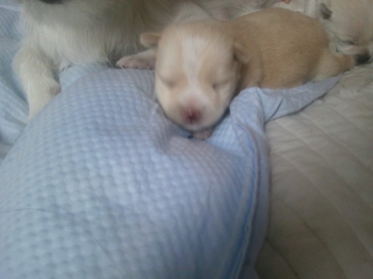 로또와 토토의 숨겨진 비밀?