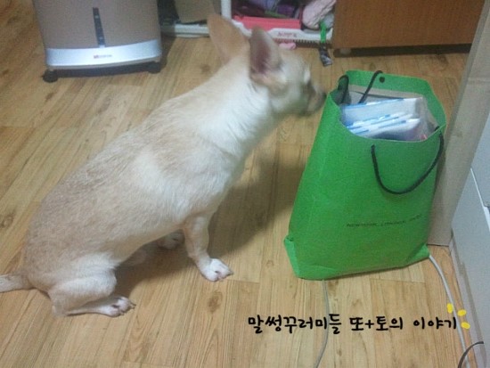 웅자를 보고......