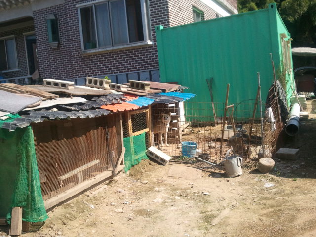 몇달전 보았던 녀석은?