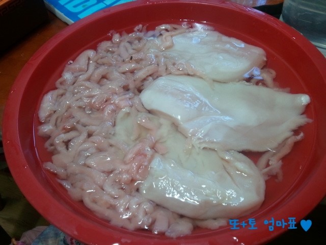 우리 멍멍이 생식 만들기