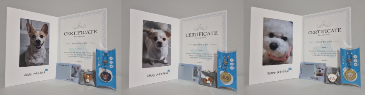 강아지 반려동물 등록 방법 찾아보고 선택한 로토두의 외장형&개민증 인증샷 후기!