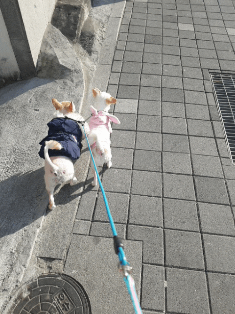 대낮에 한 산책