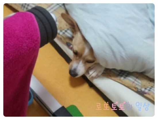 보물찾기라고 쓰고 숨은토토라고 읽는다!